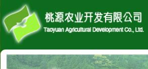 浮梁縣農(nóng)業(yè)開(kāi)發(fā)公司與茶葉大數(shù)據(jù) 異合食品餐飲網(wǎng)運(yùn)營(yíng)新機(jī)遇